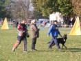 /album/fenykepgaleria/oroshaza2010-025-jpg/